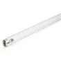 Philips T8 UV - C 36W - Ultravioletto | 120cm