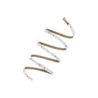 Ledvance Strisce LED Value 500 24Wlm 2450lm 24v - 865 Luce del Giorno | 5M/8mm