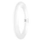 Osram Tubo LED T9 Circolare (EM/Mains) 11W 1320lm - 840 Bianco Freddo | Sostitutiva 22W